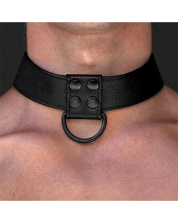 Collar con Correa Negro Mate