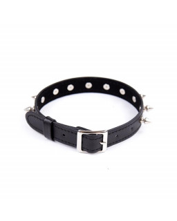 Collar con Pinchos Ajustable 43 cm Negro