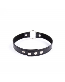 Collar con Aro Ajustable 382 cm Negro