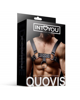 Quovis Arnes Masculino para Bondage Cuero Vegano