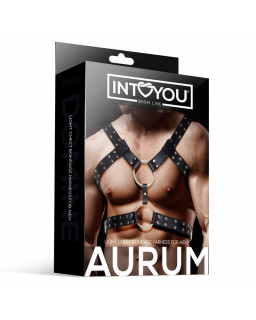 Aurum Arnes Masculino para Bondage Cuero Vegano