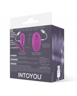 Huevo Vibrador Control Remoto Odise USB Silicona Rosa