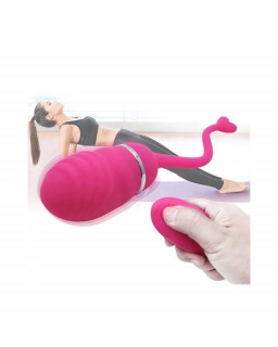 Huevo Vibrador Control Remoto Odise USB Silicona Rosa