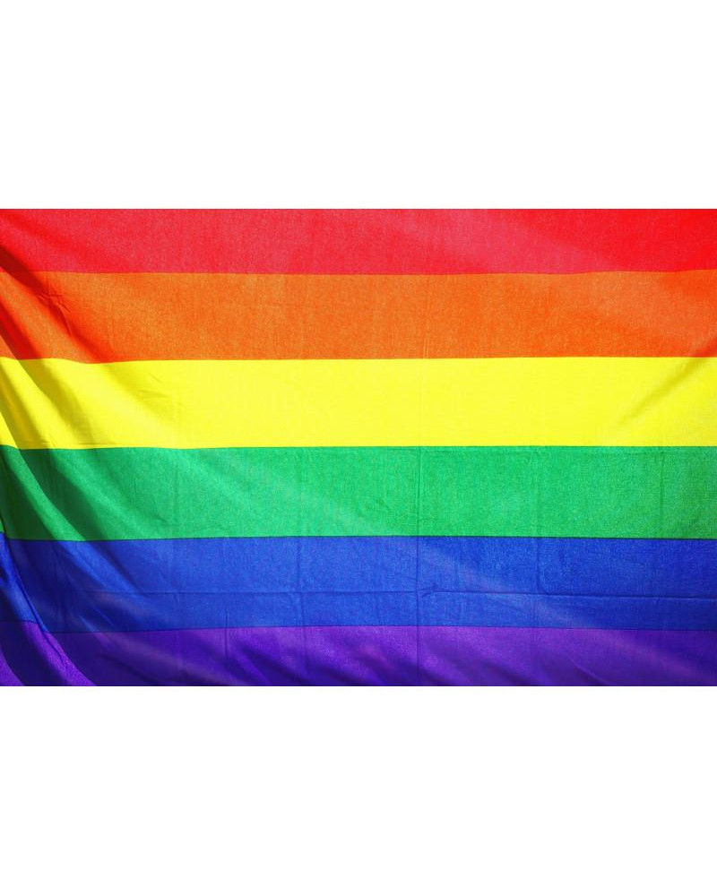 Bandera Orgullo LGBT 90 cm