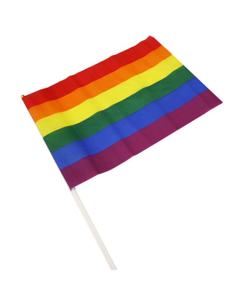 Banderin Grande Colores Bandera LGBT