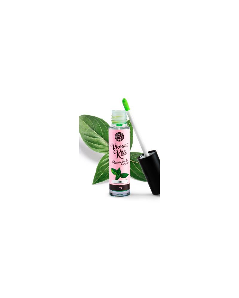 Lip Gloss Vibrant Kiss Sabor Menta