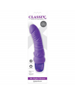 Vibrador Mr Right Purpura