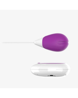 Huevo Vibrador con Control Remoto USB Purpura