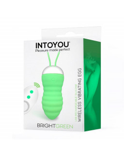 Brightgreen Huevo Vibrador Control Remoto USB Silicona