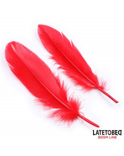 Set de 3 Piezas Antifaz Plumas y Esposas