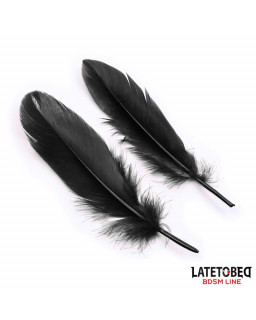 Set de 3 Piezas Antifaz Esposas y Plumas Negro