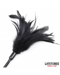 Multi Feathers Tickler and Lace Ribbon Paddle Comb