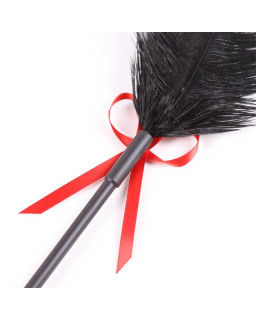 Plumas y Pala 2 en 1 36 cm Negro Rojo