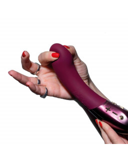 Vibrador de Bajos y Altos 2 Motores Kurve