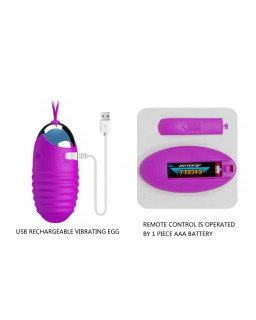 Huevo Vibrador Jessica USB Purpura