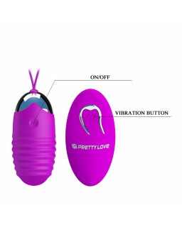 Huevo Vibrador Jessica USB Purpura