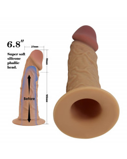 Houston Arnes Universal Ajustable con Dildo Hueco