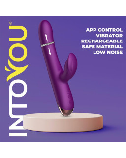 Sendel Vibrador con Anillo de Bolas Internas Up and Down y Pulsacion con App