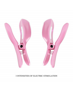 Surprise Box Huevo Vibrador y Pinzas para Pezones con Electro Estimulacion Rosa