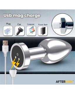 Dimpor Plug Anal Cromado con Vibracion USB Magnetico Talla L